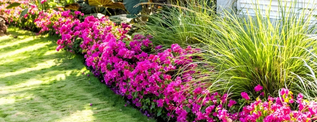 lawn and garden renovation