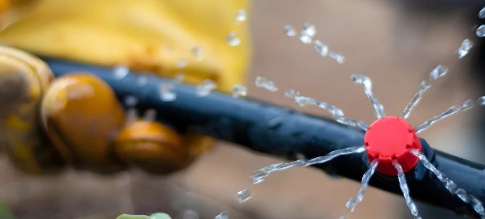 irrigation and maintenance