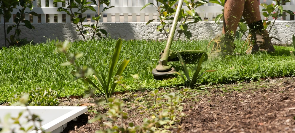 annual property maintenance