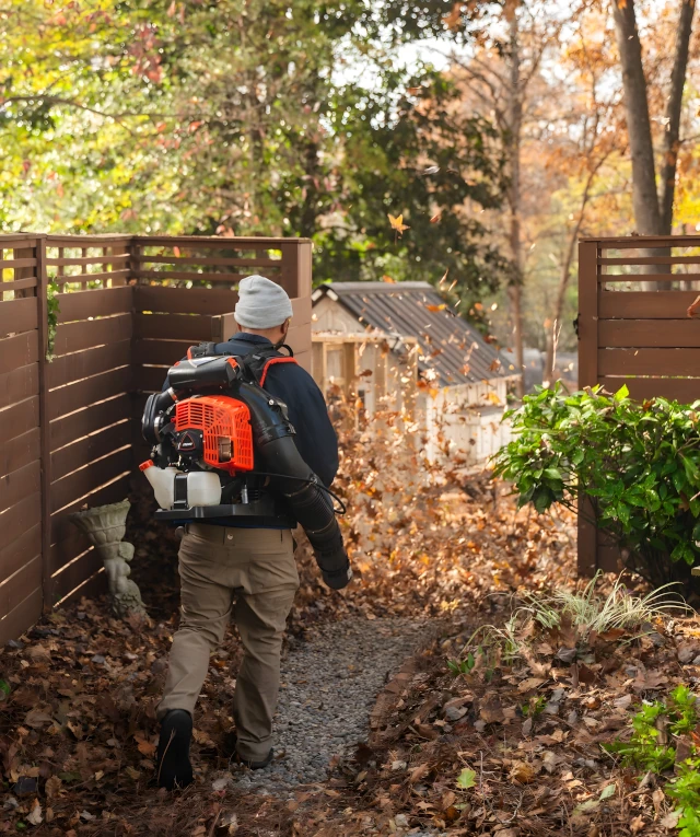 annual property maintenance