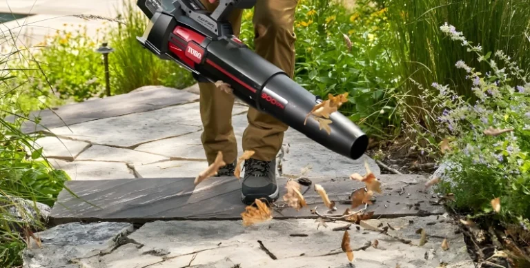 Annual Property Maintenance