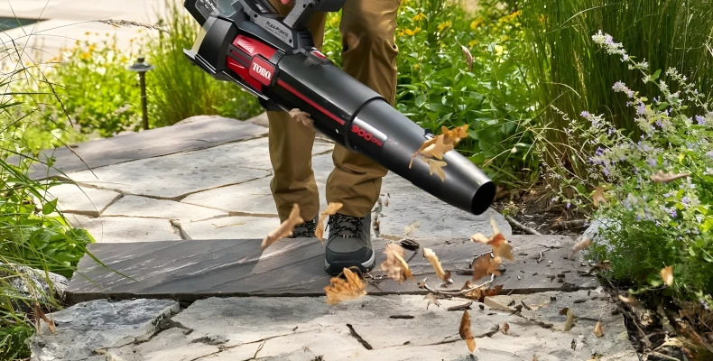 annual property maintenance