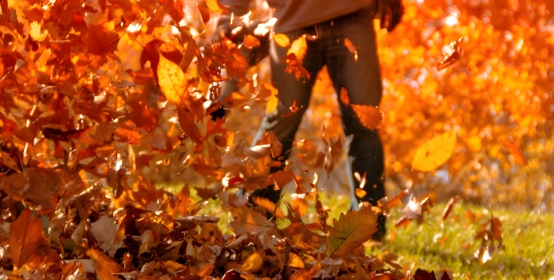 annual property maintenance