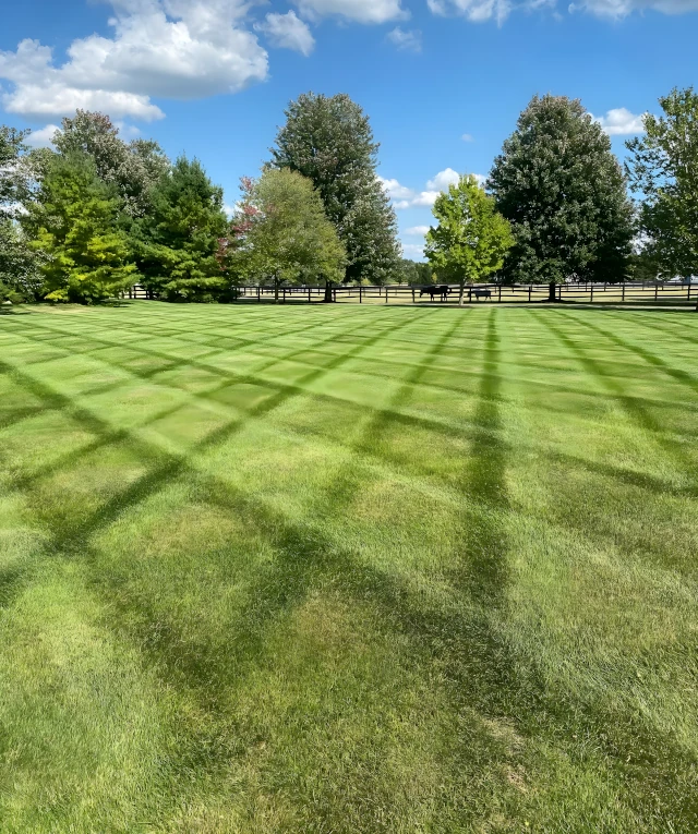 commercial landscaping