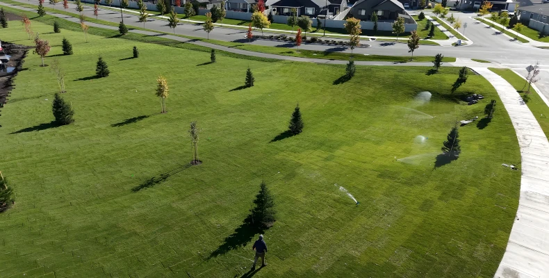 commercial landscaping