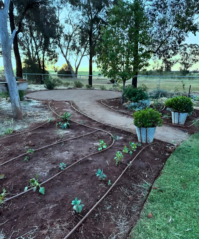 community and hoa landscaping