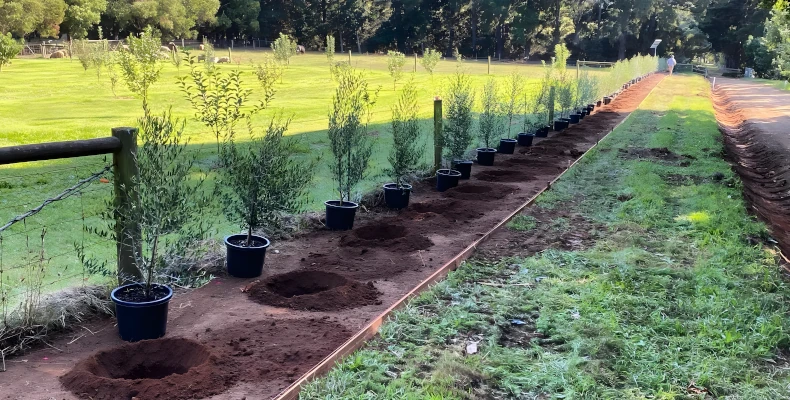 community and hoa landscaping