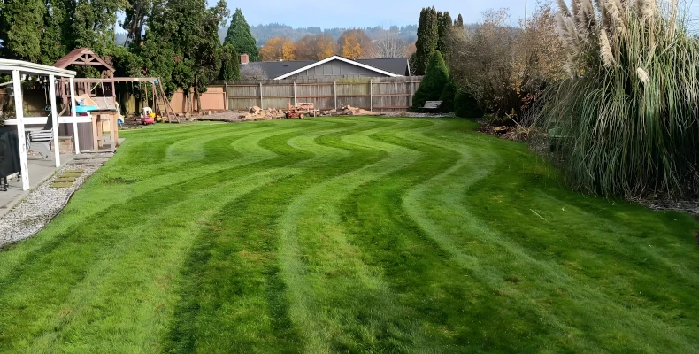 residential lawn maintenance