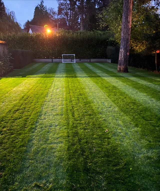 residential lawn maintenance