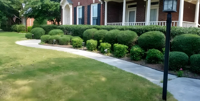 residential lawn maintenance